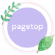 pagetop